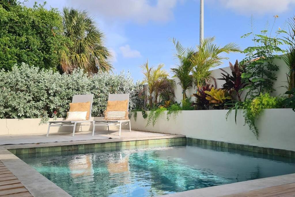 Boutique Appartment 4P With Private Pool, Near Jan Thiel & Mambo Beach Виллемстад Экстерьер фото